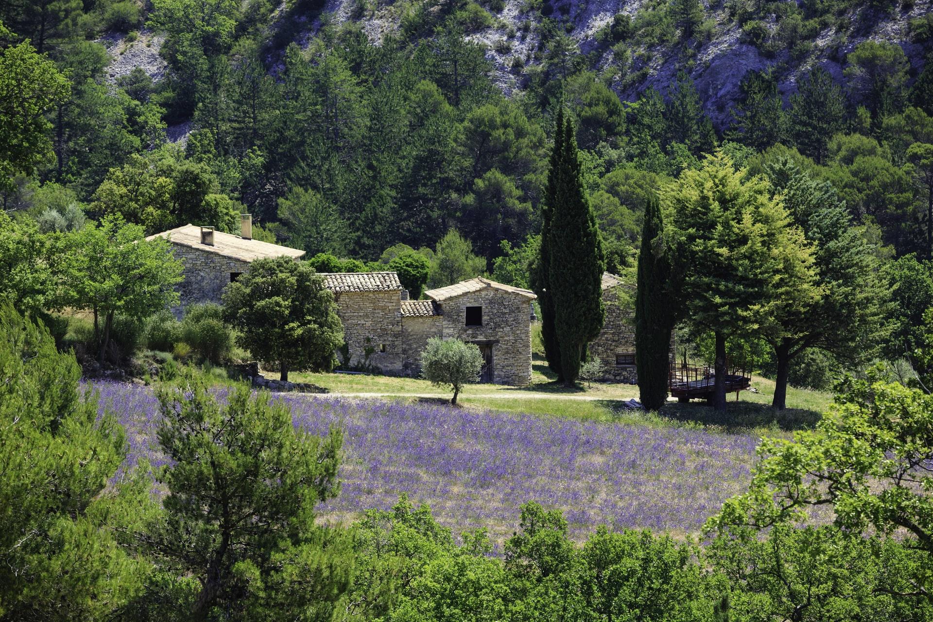 house in nature
